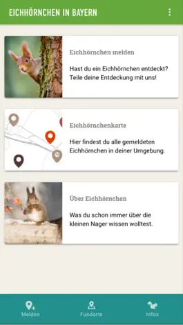 Game screenshot Eichhörnchen in Bayern mod apk