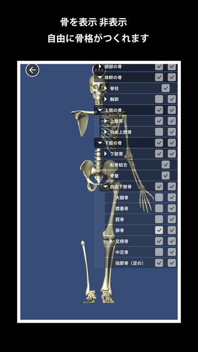 Bone (ボーン) screenshot1