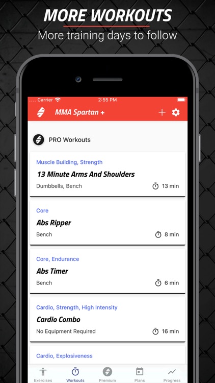 MMA Spartan Workouts Pro screenshot-3