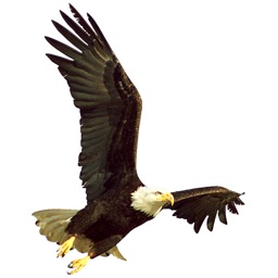 Blue Mountain Eagle News