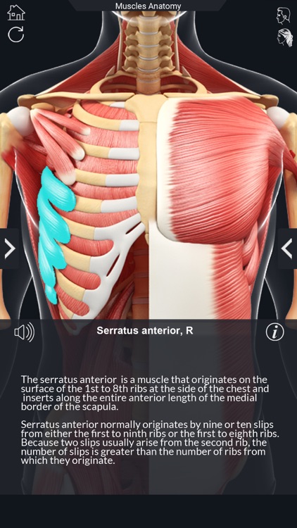 My Muscle Anatomy screenshot-4