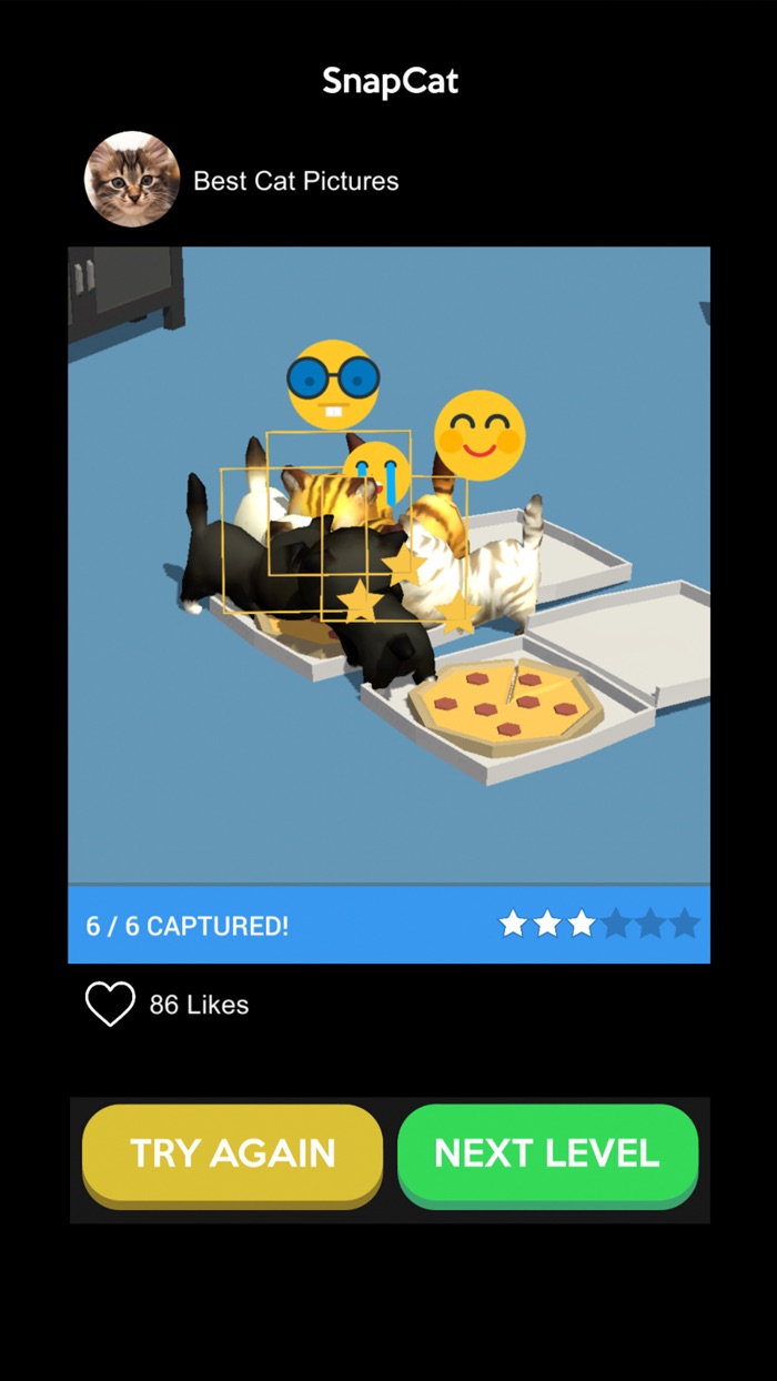 Cat Snap 3D