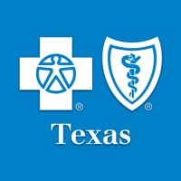  BCBSTX Alternatives