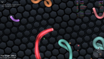 slither.io Screenshot 3