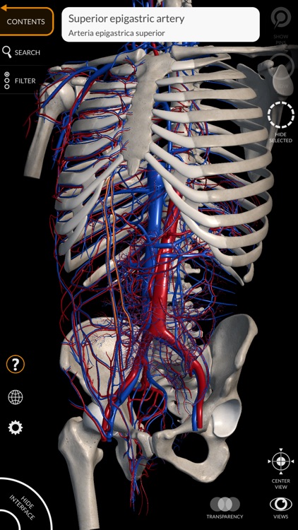 Anatomy 3D Atlas by Catfish Animation Studio