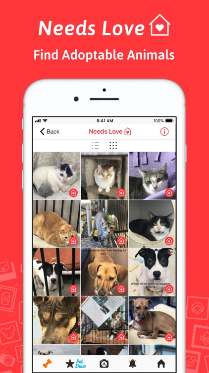 ZooPix: Where Cute Pets Rule screenshot-9