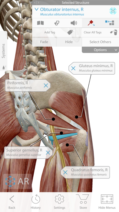 Human Anatomy Atlas 2017 - Complete 3D Human Body Screenshot 2