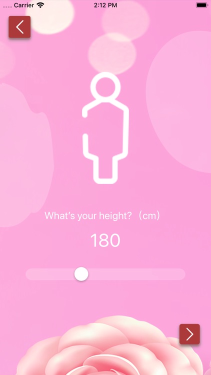 Physical Health-BMI Calculatio