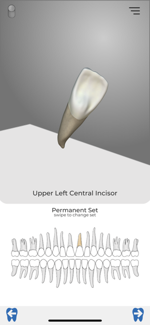 Immersify Dental(圖4)-速報App