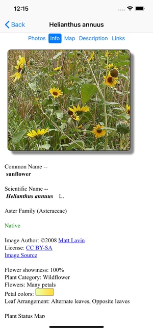 Arizona Wildflowers(圖4)-速報App