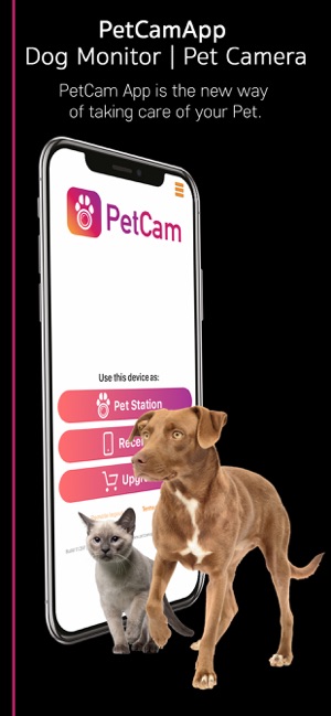 PetCamApp - Pet Camera(圖1)-速報App