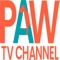 A tv program for animal lovers with information from local providers, veterinarians and services, all for your pet