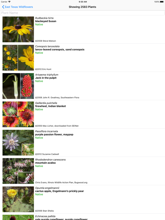 East Texas Wildflowers screenshot 2