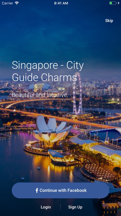 Singapore City Charms