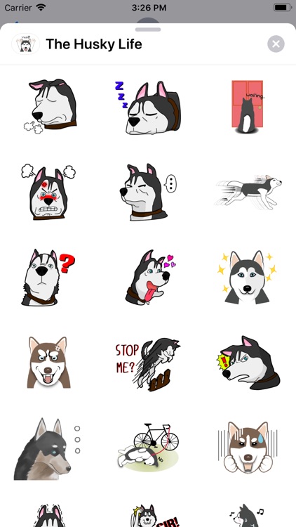 The Husky Life