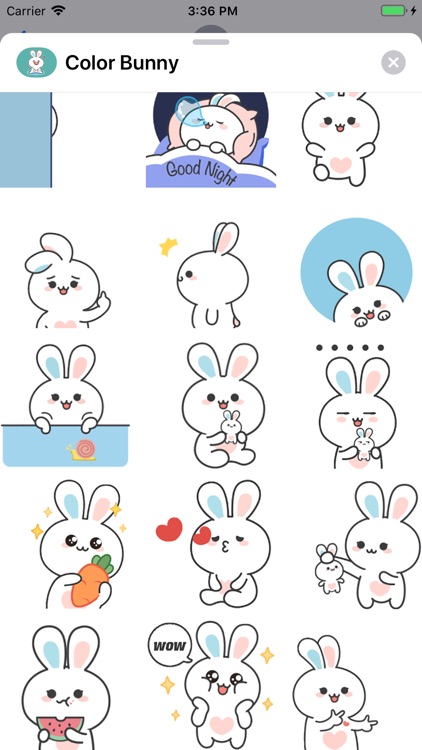 Color Bunny Animated