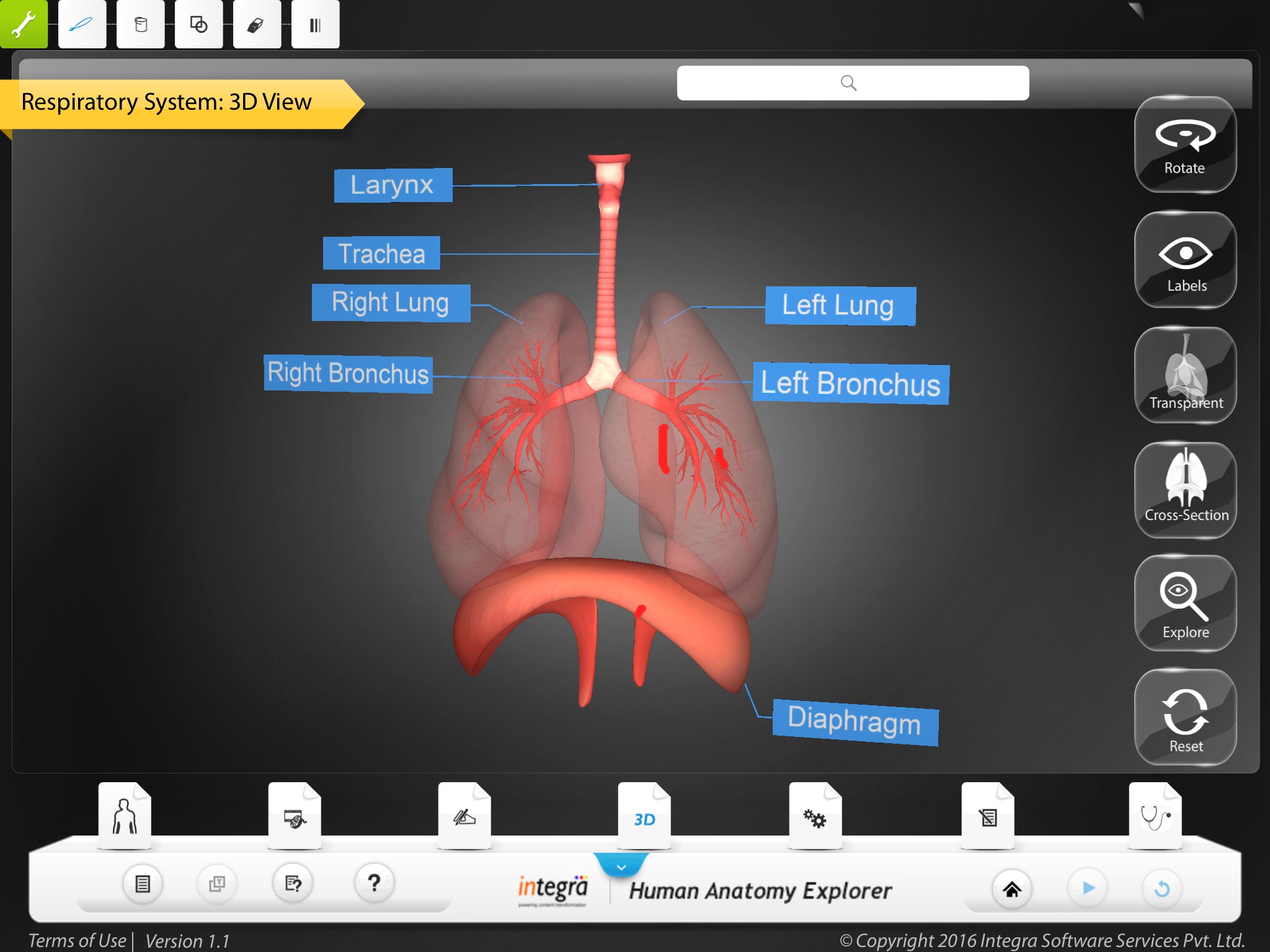 Human Anatomy Explorer screenshot 3