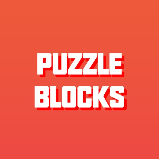 PUZZLE BLOCKS - NEW