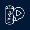 Voice Assistant for AA devices