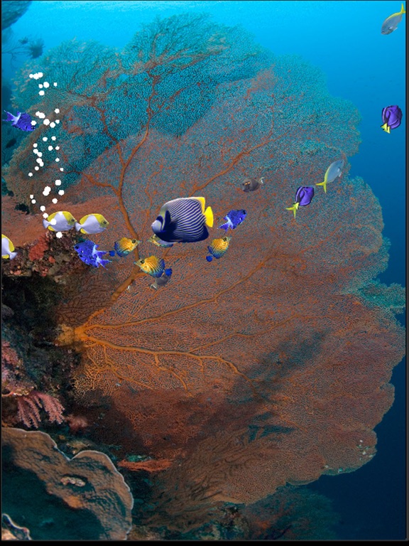 Screenshot #5 pour Fishies