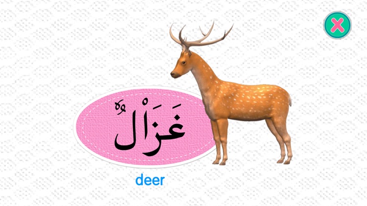 Learn Arabic 2