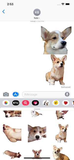 Lovely Corgi Sticker Pack(圖2)-速報App