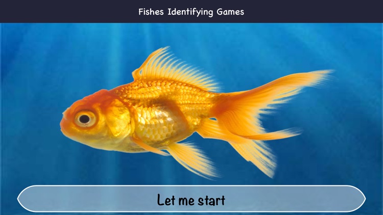 Fishes Identifying Games