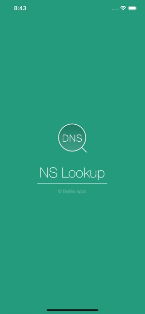 NSLookup Plus