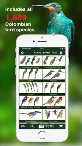 Game screenshot All Birds Colombia field guide apk