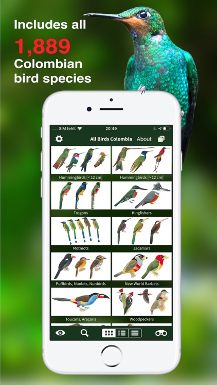 All Birds Colombia field guide