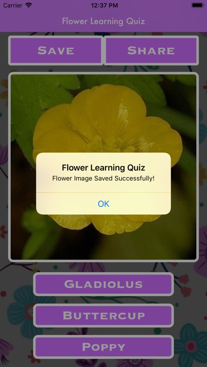 Flower Learning Quiz screenshot-3