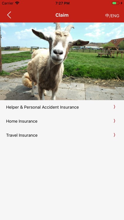 iPlus Insurance