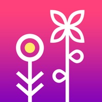 鲜花速递-全国鲜花当日送达 pour PC
