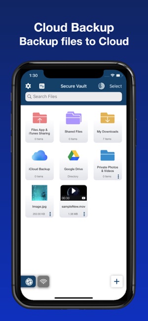 VAULT - Browser & File Manager(圖3)-速報App