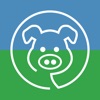 PigVision Mobile Sows