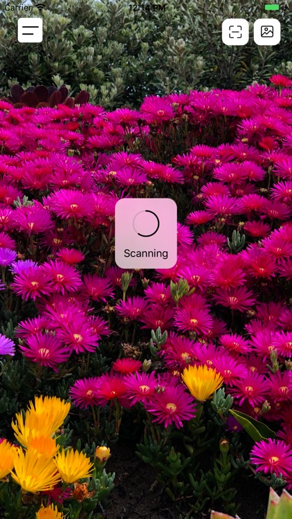 PlantScan screenshot-3