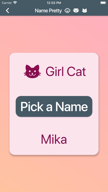 Name Pretty screenshot-6