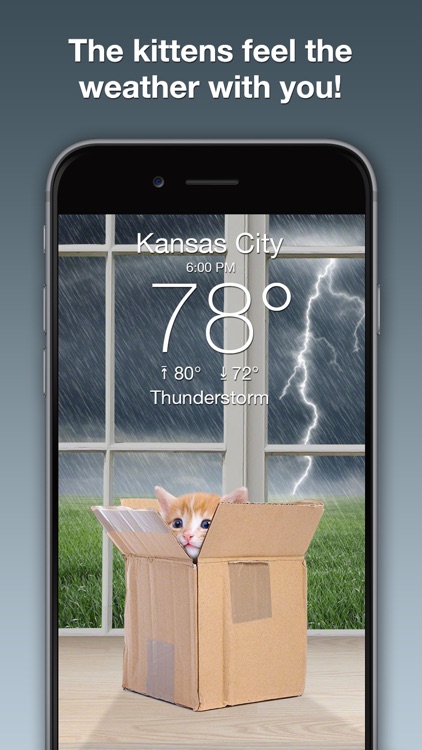 Weather Kitty: Weather + Radar screenshot-1