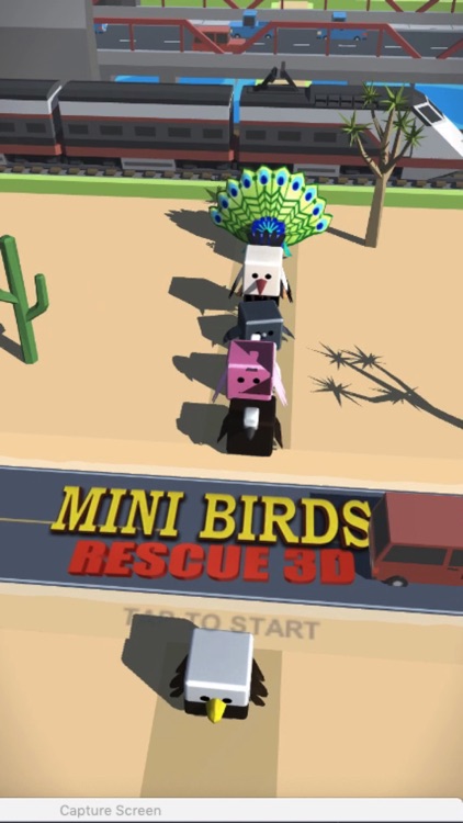 Mini Birds Rescue 3D