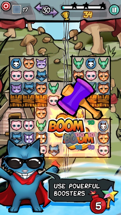 BOOMBOOM Cats!