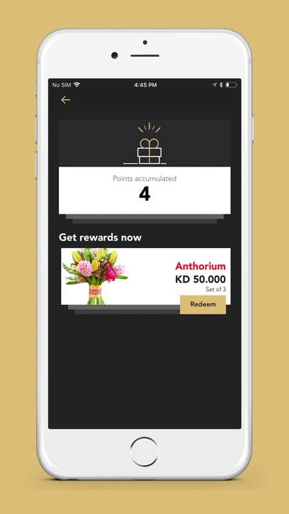 The Flower Outlet screenshot-8