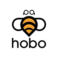 Hobo - Catch the Buzz pour PC