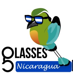 Glasses Nicaragua