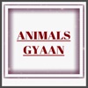 Animals Gyaan - Easy to Use