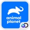 Animal Planet traz histórias surpreendentes para sua casa e revela que os animais são mais humanos do que pensávamos