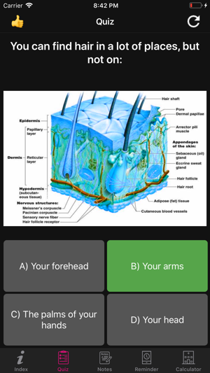 Human Anatomy Hair Facts,Quiz(圖3)-速報App