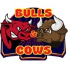 Bulls and Cows Classic