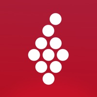 Kontakt Vivino