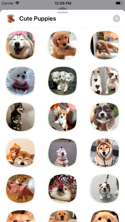 Cute Puppies Sticker Pack