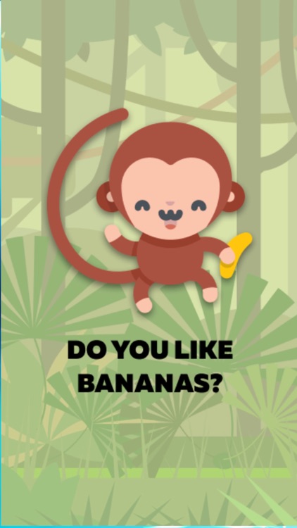 Monkey Life in jungle